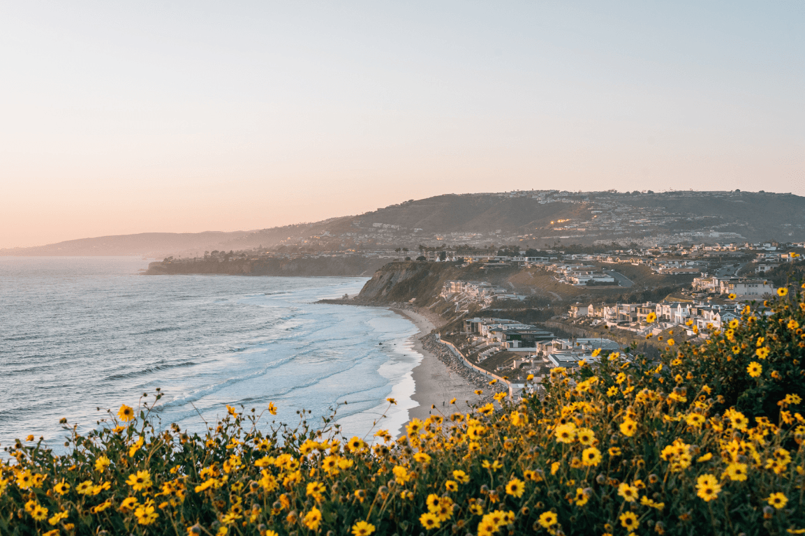 The Shared San Diego Tour from Dana Point
