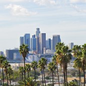 Los Angeles skyline with palm trees in forefront